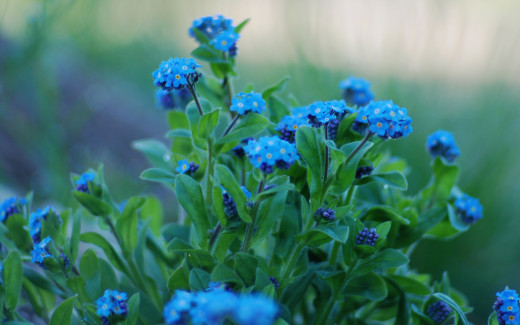 686812 (a): :2560x1600